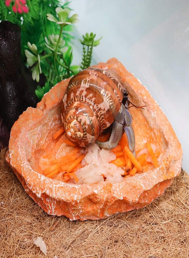 Neeenn 3 Pack Reptile Food Dish, Resin Hermit Crab Food & Water Bowl, Reptile Feeding Food Dish Kit, Tank or Aquarium Accessory, Suitable for Turtle Lizard Hermit Crab Snail Bearded Dragon Leopard Gecko - Image 2